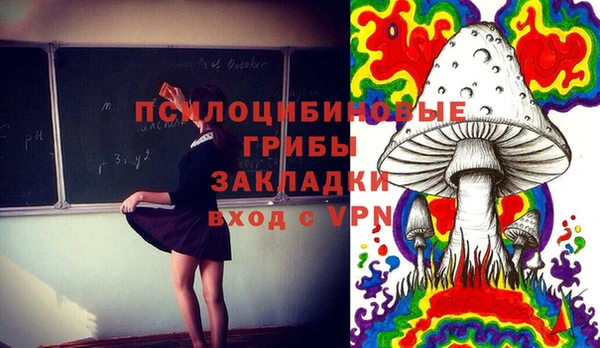 шишки Нефтегорск