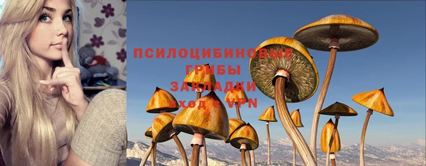 дживик Навашино
