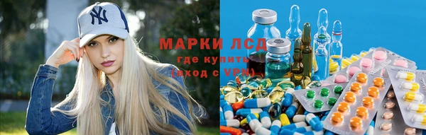 дмт Нефтекумск